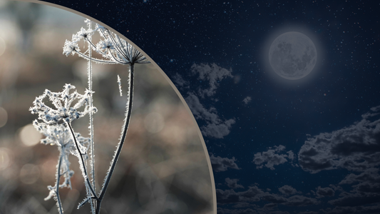 Embrace the Tranquility of the Frost Moon