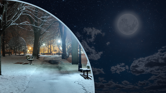 Embrace the Serenity of the Cold Moon