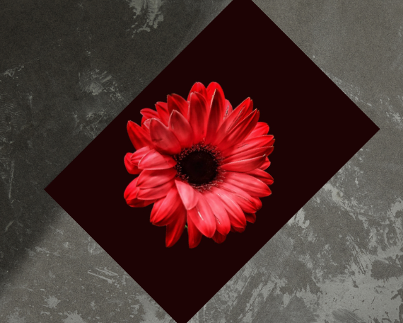 Ruby Spark Art Print
