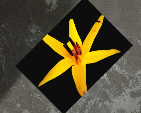 Sun Burst Art Print