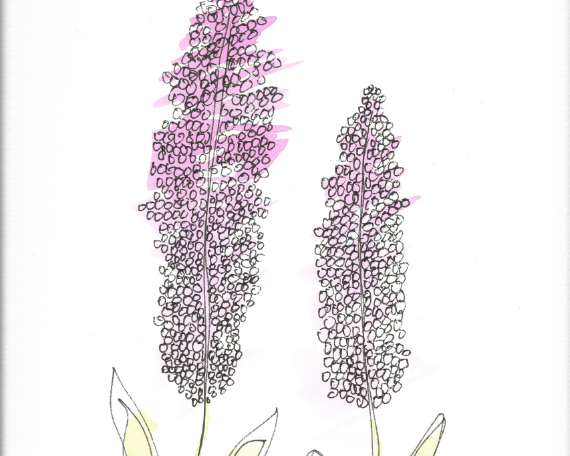 Watercolor 2039 Art Print