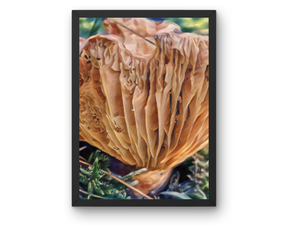 Accordian Art Print