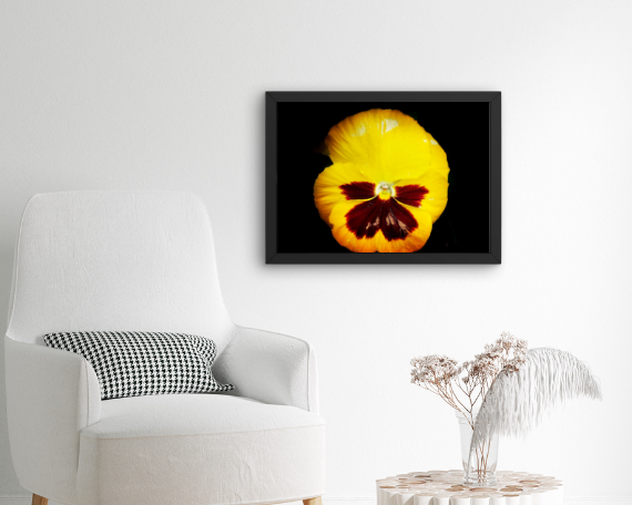 Sunrise Art Print