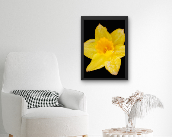 Sun Ray Art Print