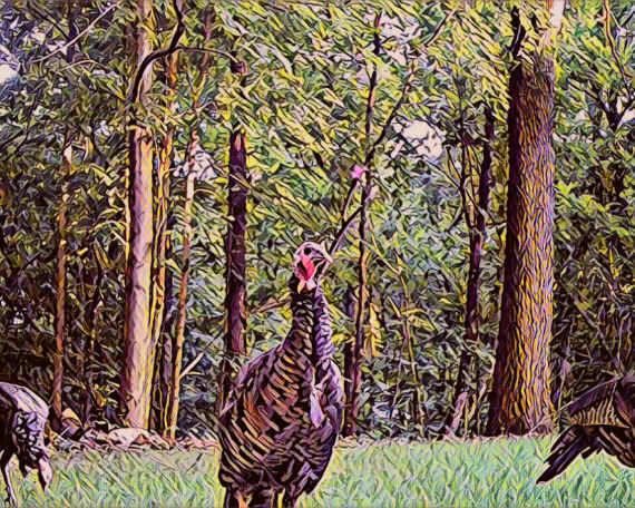 Regal Art Print
