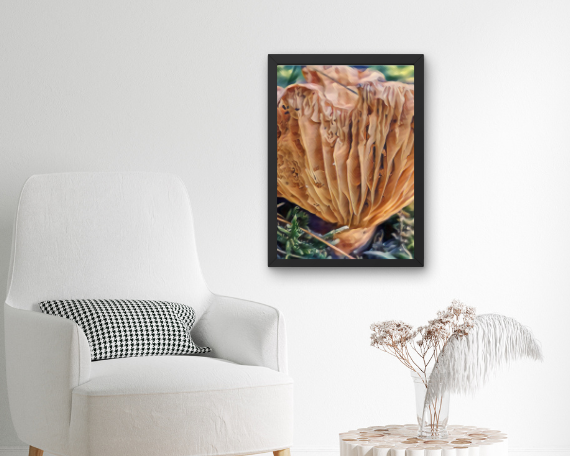 Accordian Art Print