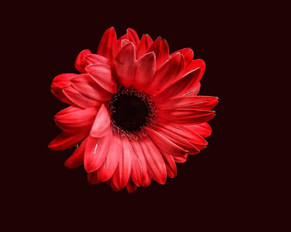 Ruby Spark Art Print