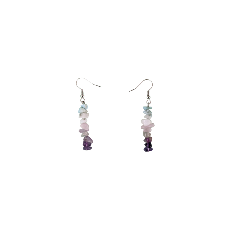 Pisces Dangle Earrings