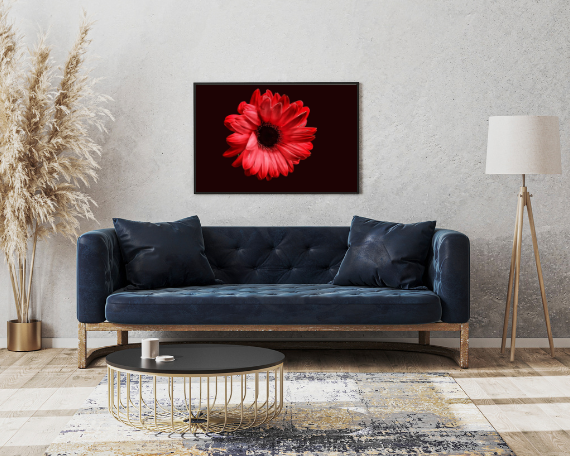 Ruby Spark Art Print