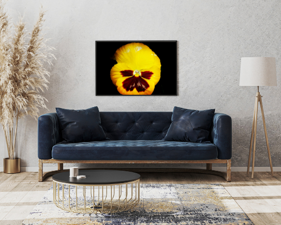 Sunrise Art Print