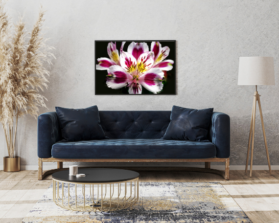 Bouquet Burst Art Print