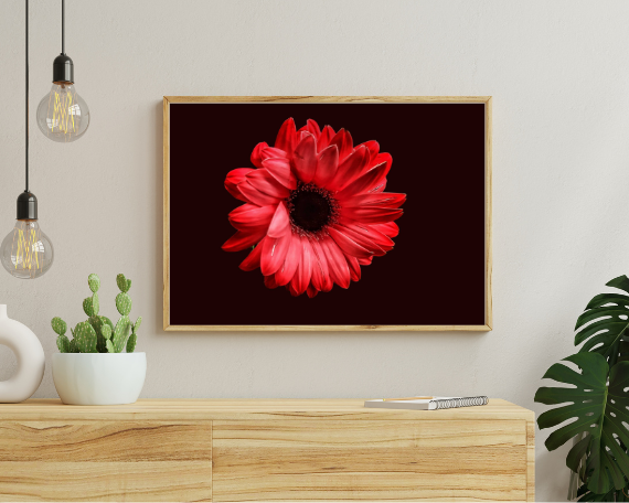 Ruby Spark Art Print