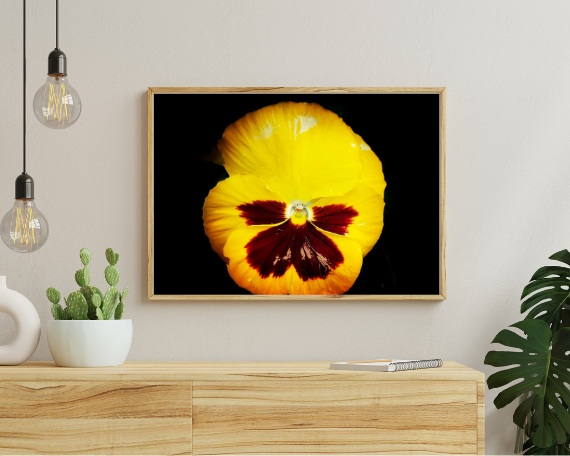 Sunrise Art Print