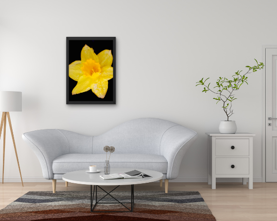 Sun Ray Art Print