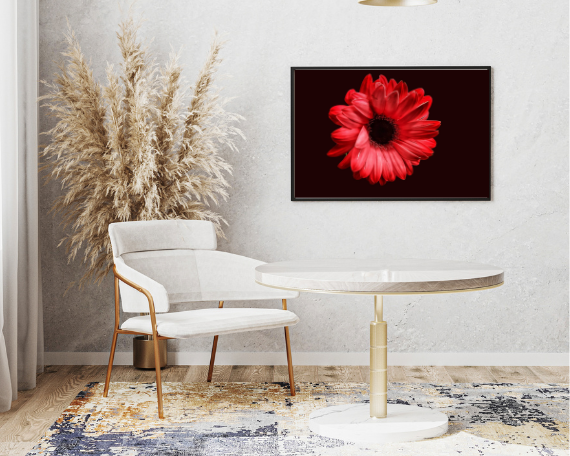 Ruby Spark Art Print