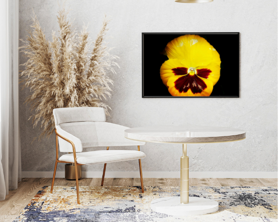 Sunrise Art Print