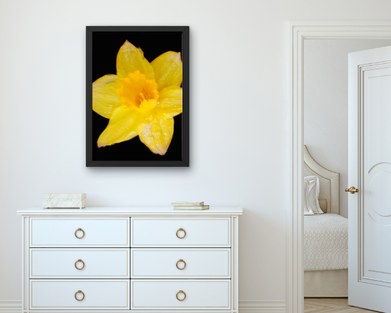 Sun Ray Art Print