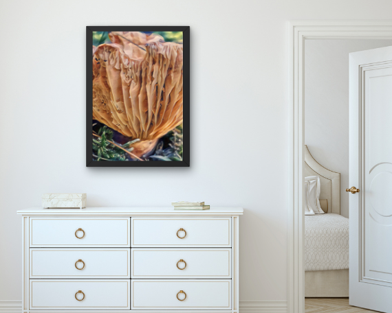 Accordian Art Print