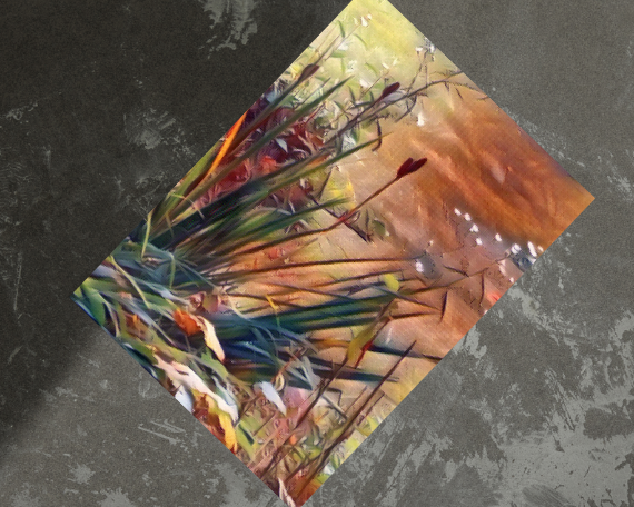 Natures Edge Art Print