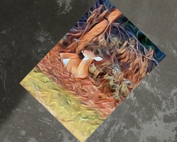 Sweet Dreamin Art Print