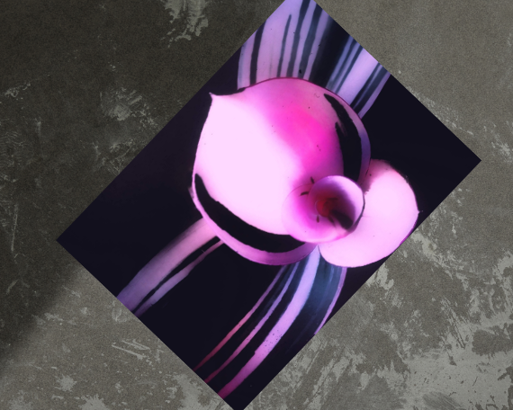 Serenity Art Print
