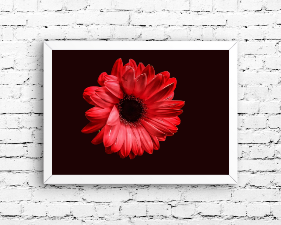 Ruby Spark Art Print