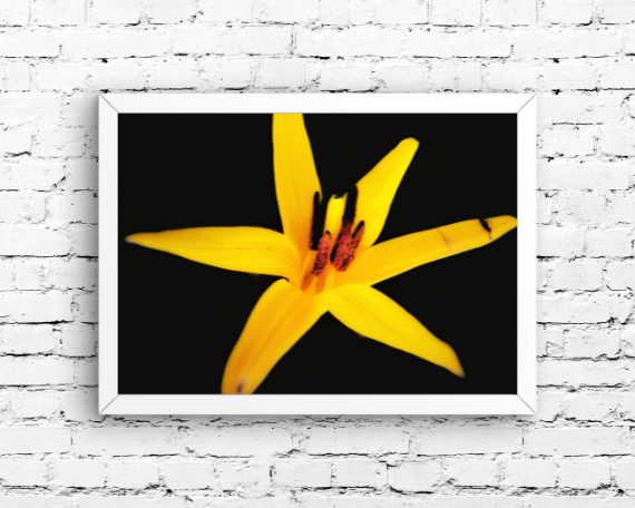 Sun Burst Art Print