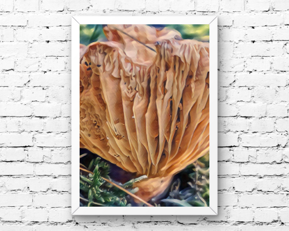 Accordian Art Print