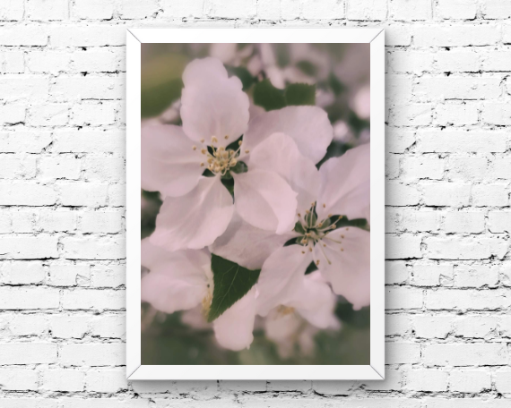 Spring Dew Art Print