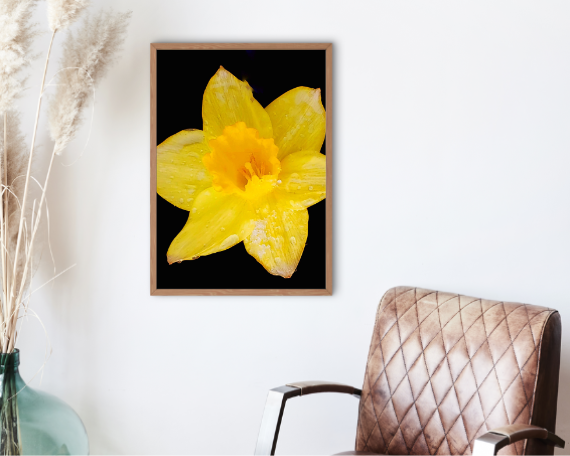 Sun Ray Art Print