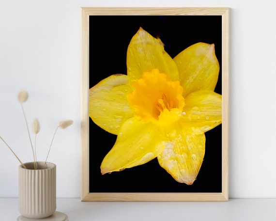 Sun Ray Art Print