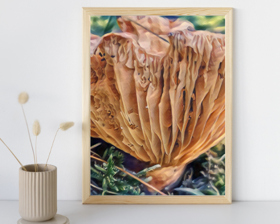 Accordian Art Print