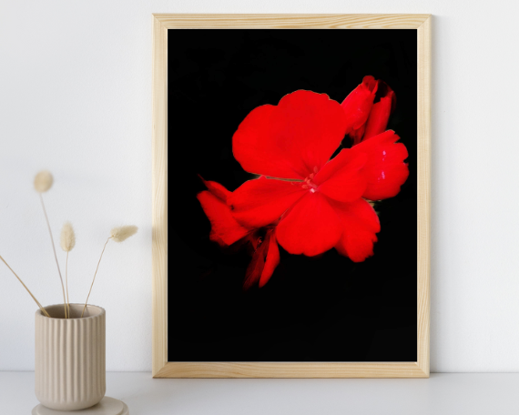 Ruby Fire Art Print