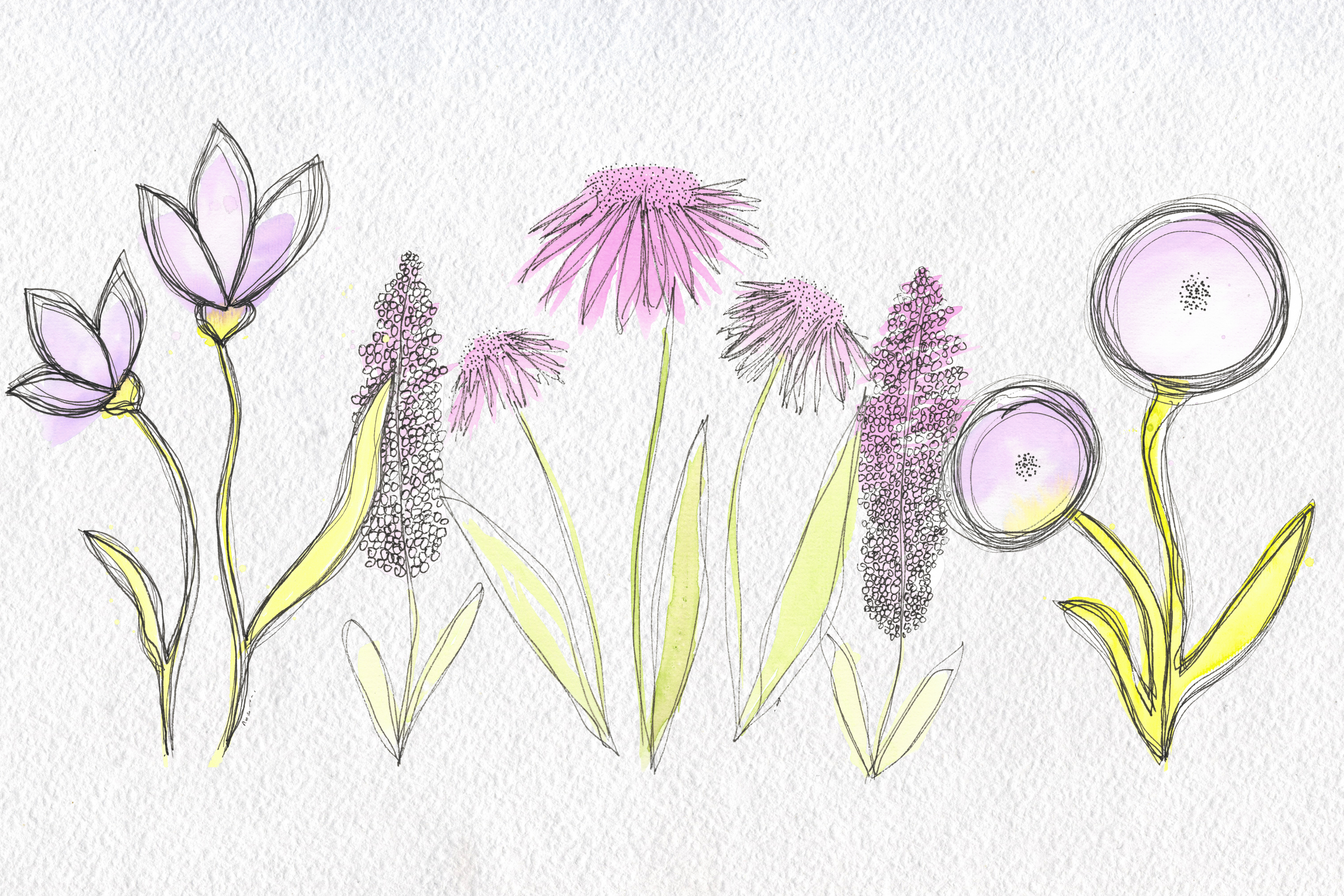 Enchanted Beauty: Exploring Watercolor & Ink Paintings by Wild Orchard Art
