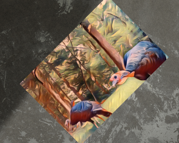 Curiosity Art Print