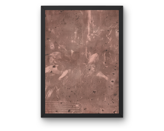 Strataform 2124 Art Print – Wild Orchard Art