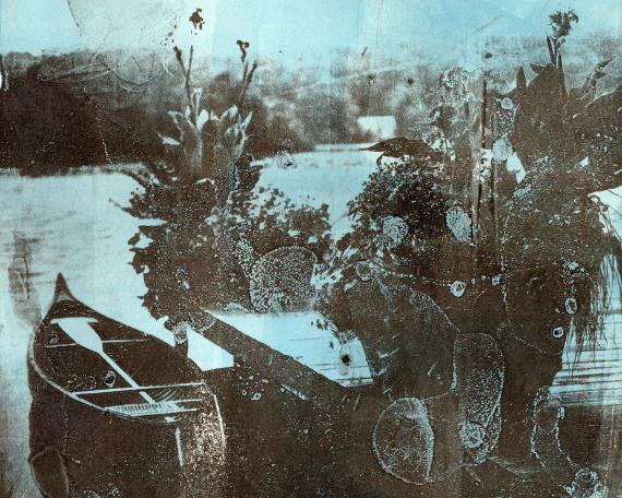 Strataform 2242 Art Print – Wild Orchard Art