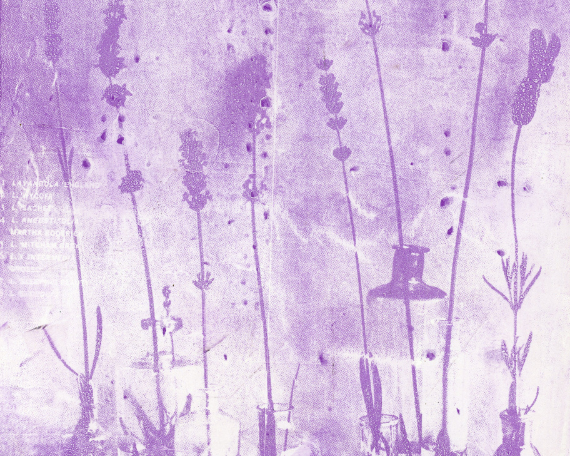 Strataform 2236 Art Print – Wild Orchard Art