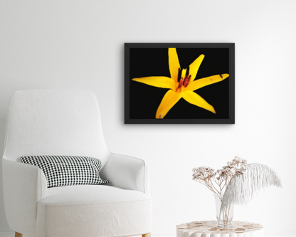 Sun Burst Art Print