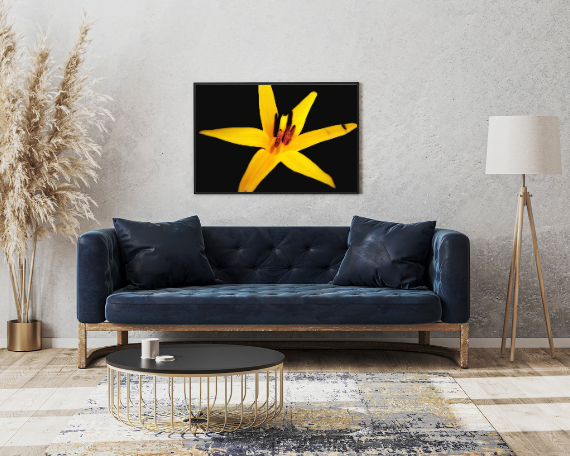Sun Burst Art Print