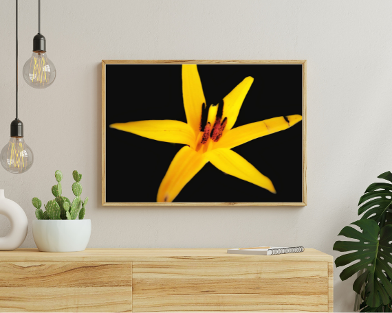 Sun Burst Art Print