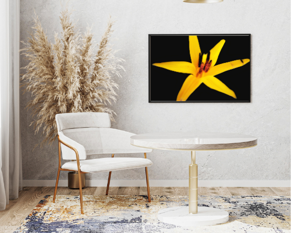 Sun Burst Art Print
