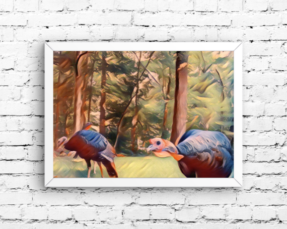 Curiosity Art Print