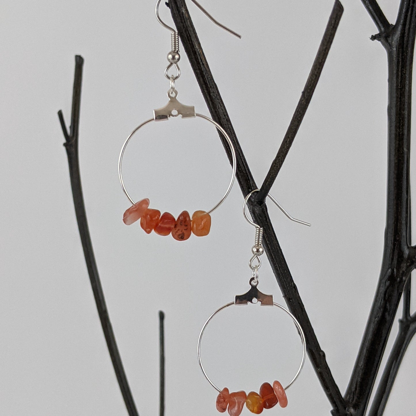 Red Carnelian Double Circle Pendant and Circle Hoop Earrings Set